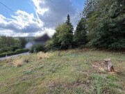Zwangsversteigerung unbebautes Grundstück