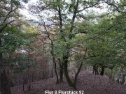 Landwirtschafts- und Waldflächen